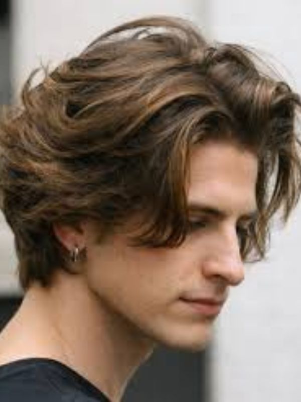 Layered Style Hair Style