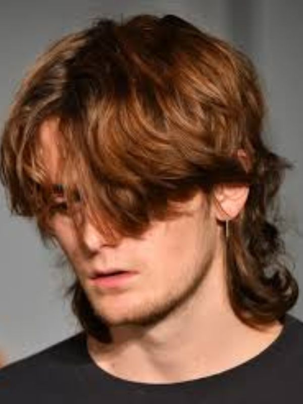 Trend Style (Wolf Cut Mullet)