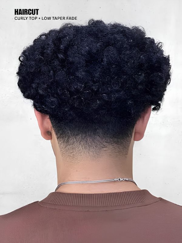Low Taper Curly Fade Afro