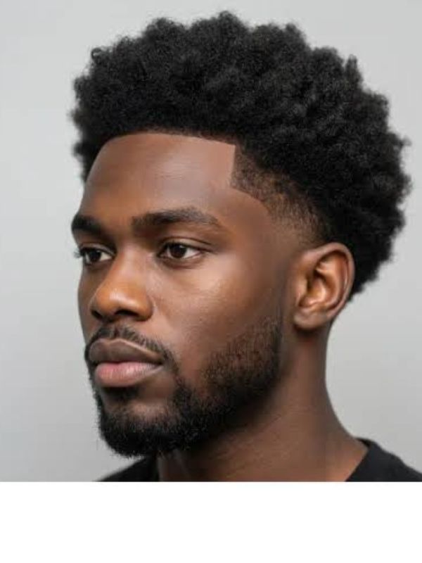 Low Taper Fade Afro for Everyday Style